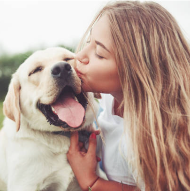 Ideas de regalos originales para dog lovers: bebés, familias y amantes de los perros.