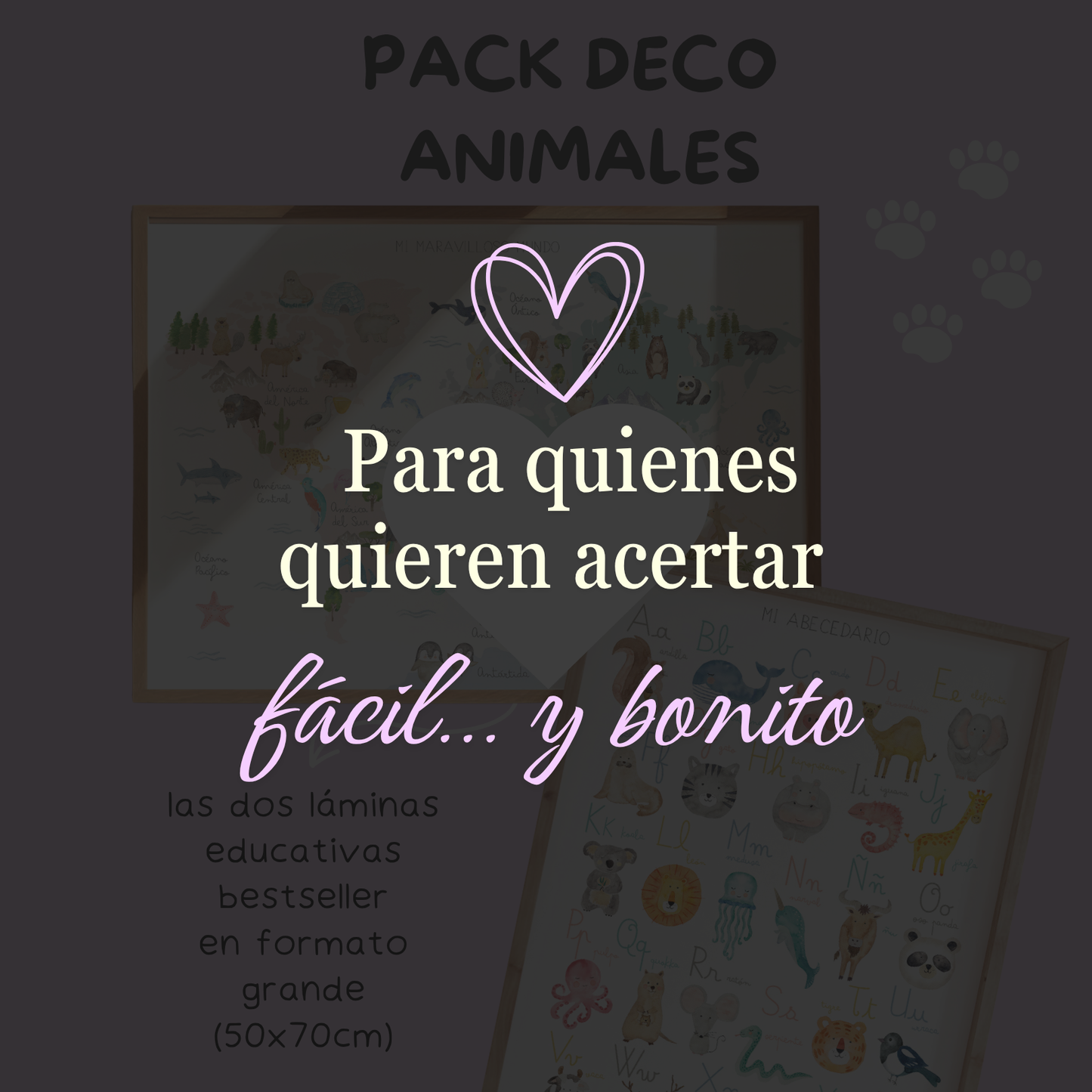 Pack Deco Animales (ENVÍO GRATIS)