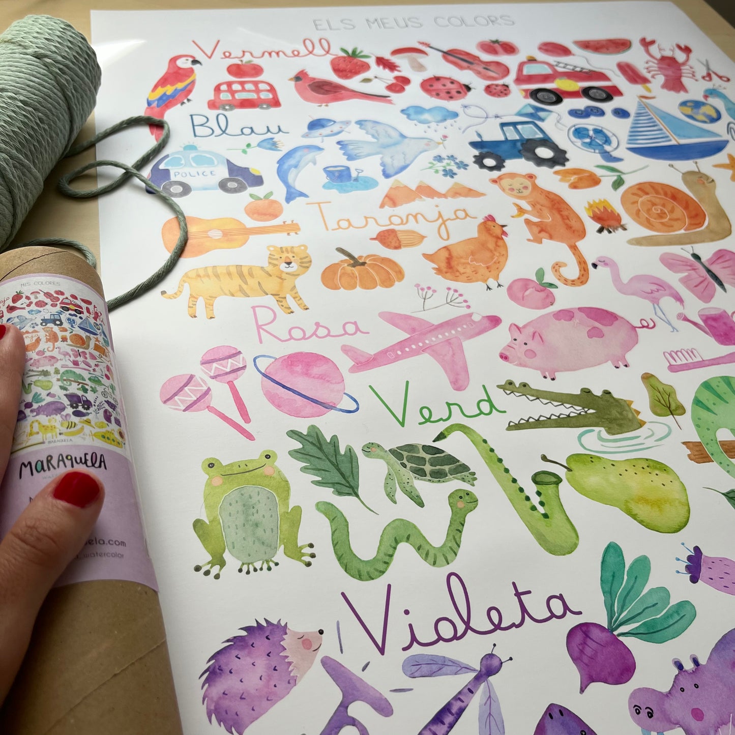 lámina infantil de los colores en catalán