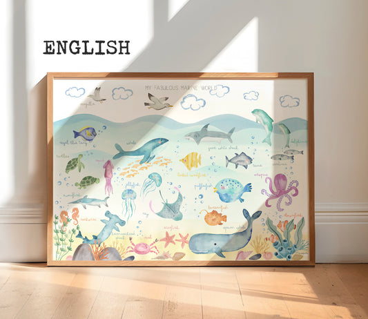 My fabulous marine world - INGLÉS