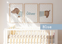 Set Perro Sancho - AZUL