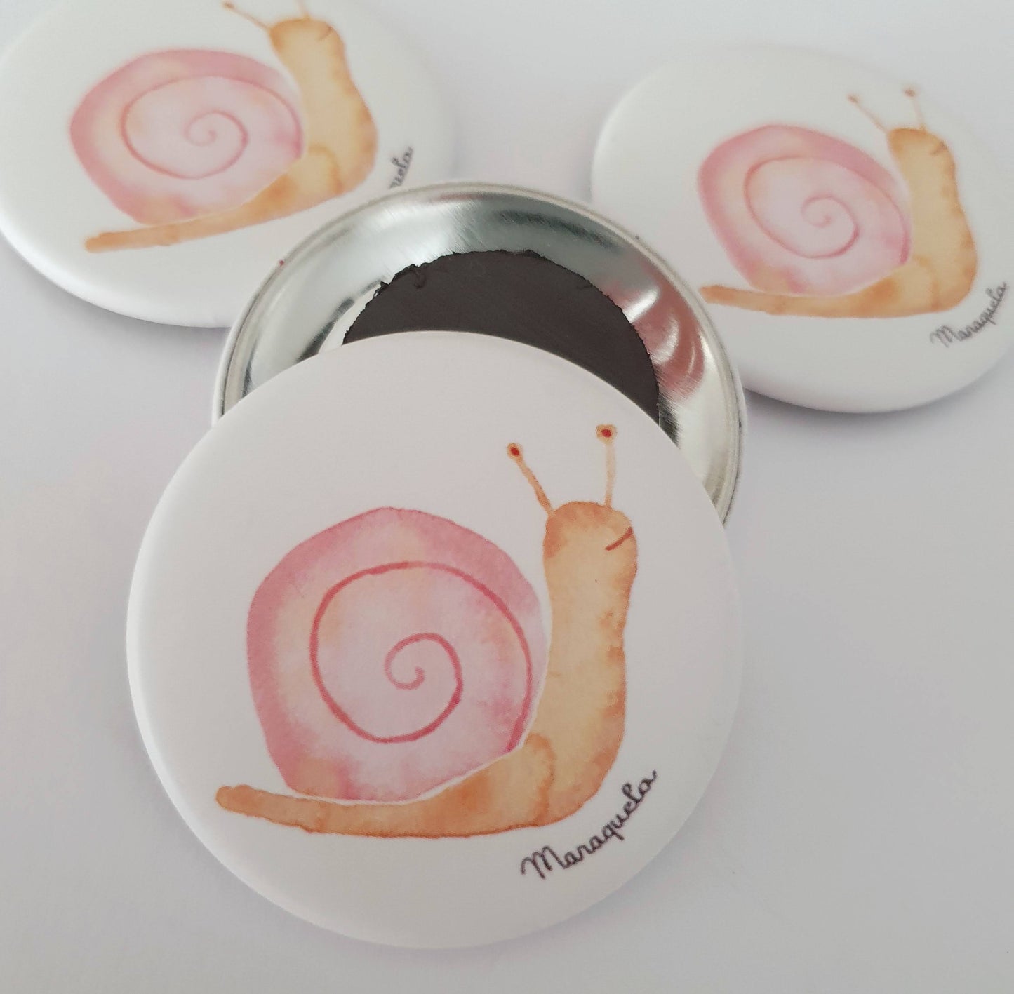 Caracol - Imán ilustrado