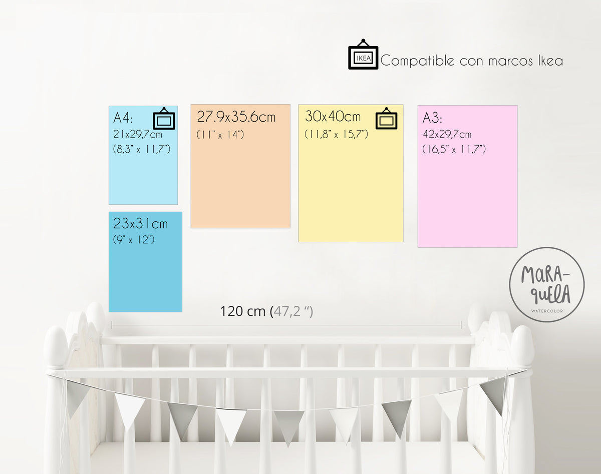 Set Animales Marinos - PASTEL